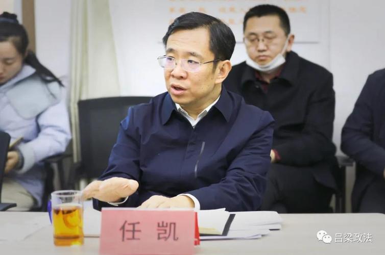 任凯指出