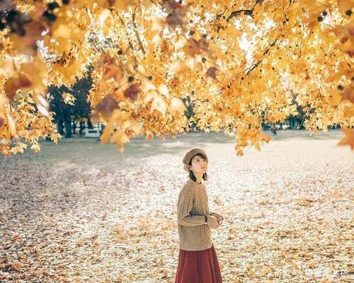 秋天拍唯美人像,需要掌握这些技巧!