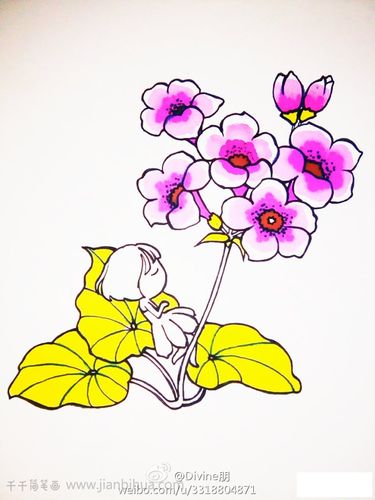 一株美女樱简笔画