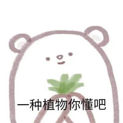 表情包:给你希望你不要不识好歹