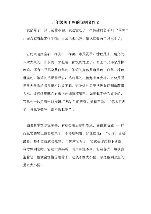五年级关于狗的说明文作文.doc 6页