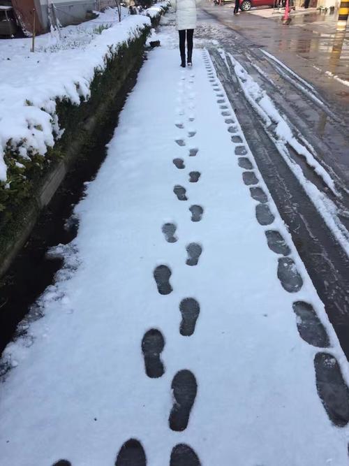 下雪了,有多少神仙眷侣手牵手,一起雪中漫步,一个不小心就白
