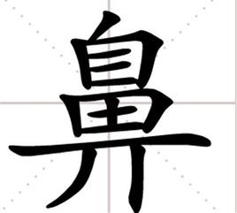 鼻(汉字)