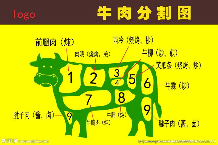 牛分割图图片