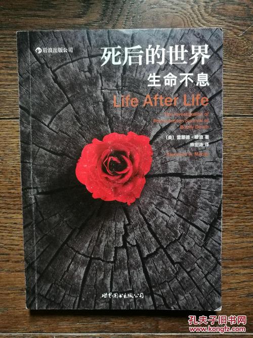 死后的世界-生命不息