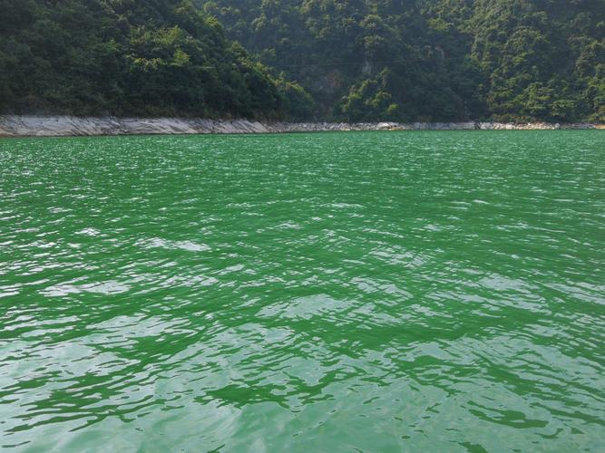 东江湖的美:雾漫小东江如人间仙境,大东江的水碧绿碧绿.