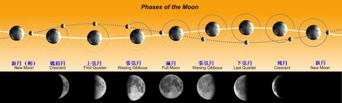 关于月相图手抄报 关于手抄报