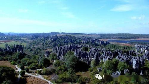 【石海迷踪】古老的黑石林