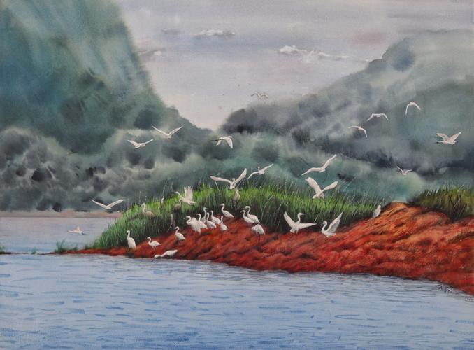 "万物生长 万物和谐——云南生物多样性保护宣传周"系列活动 "保护