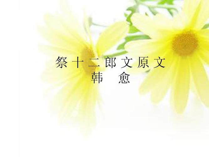 祭十二郎文原文 演示文稿ppt