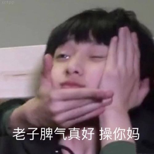 分享手机里的宋亚轩刘耀文张真源严浩翔贺峻霖表情包