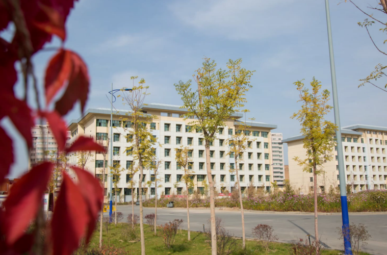 新疆艺术学院招生章程-2019年普通类本科