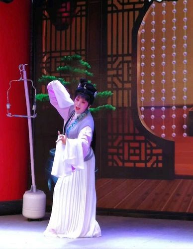 李龙丽 十三太子林逢春扮演者:谢红勇 贾宝玉扮演者:王娟 林黛玉扮演
