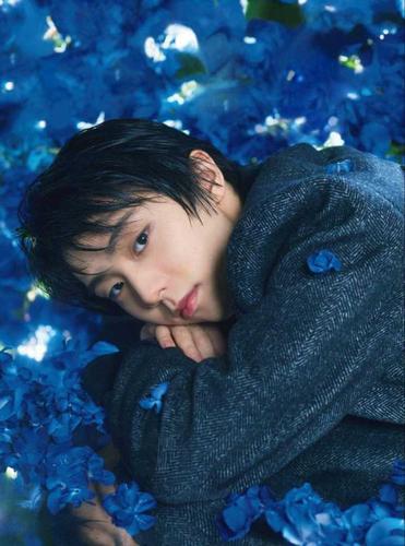 如何评价羽生结弦2018年平昌冬奥会的短节目表演