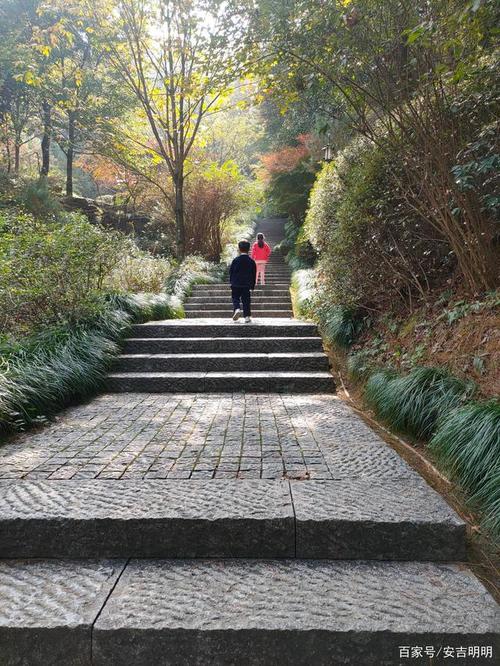 浙江安吉凤凰山森林公园