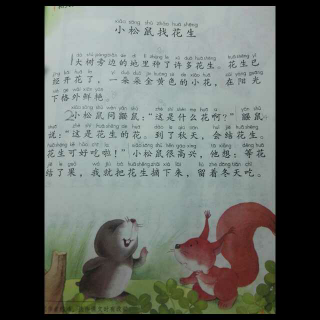 小松鼠找花生