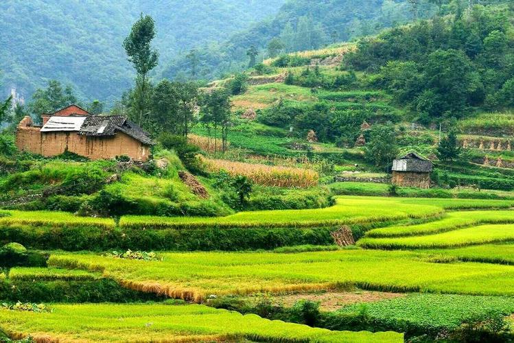 我爱家乡的山和水