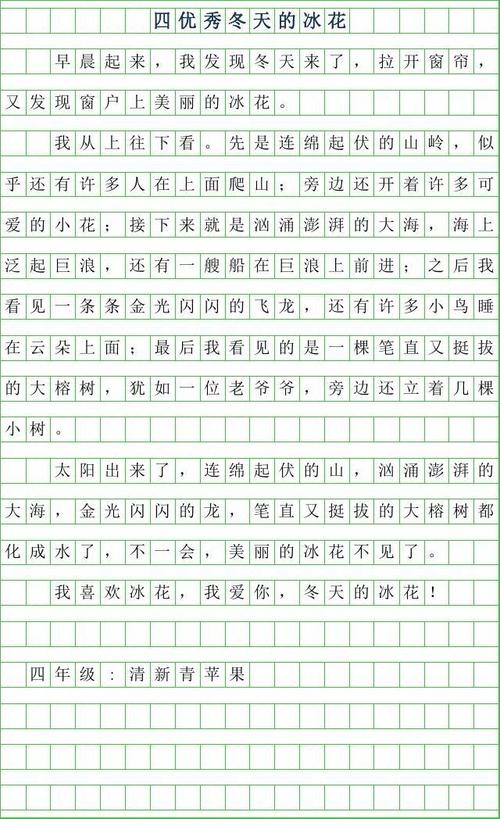 2019年四年级优秀作文500字-冬天的冰花