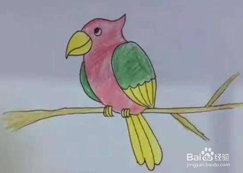 简笔画鹦鹉如何画