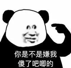 看起来不太聪明的熊猫头表情包