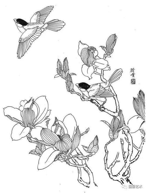 花鸟鱼虫白描画谱分享