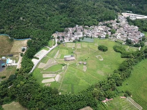 中山又有5个镇区入选"广东省森林小镇",听着就很美