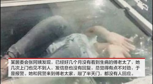 上海再现冰柜藏尸事件:儿子把母亲尸体放进冰柜6个月