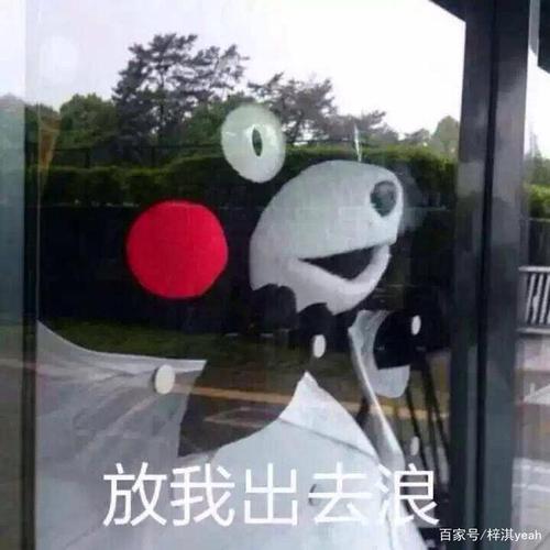 儿子当"妈"后,我终于"解放"了