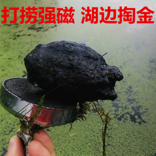 钕强磁王高强力超强打捞大号吸铁石圆形铷铁硼深海水死亡磁铁