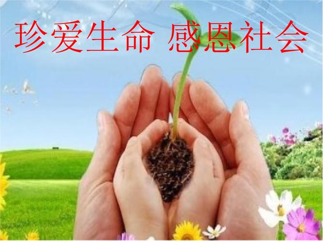 珍爱生命感恩社会.ppt