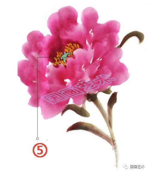 图文教程:七色牡丹花头画法步骤