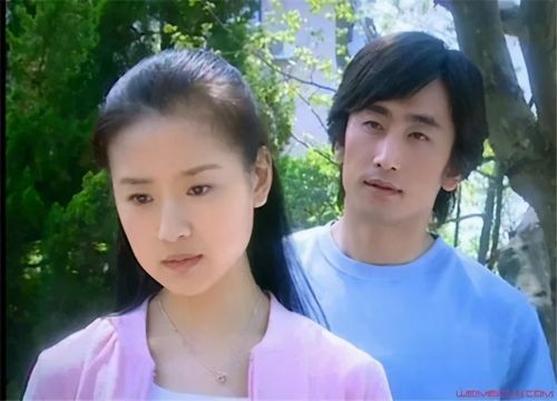 董洁车仁表《天若有情》很带感,禁忌之恋现在几乎绝迹