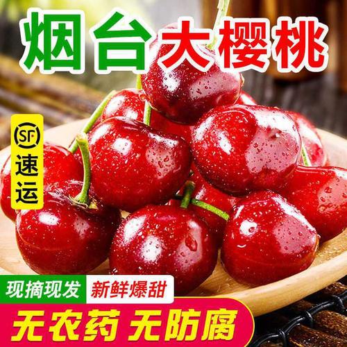 烟台大樱桃山东水果新鲜当季国产车厘子大连美早樱桃孕妇水果批发