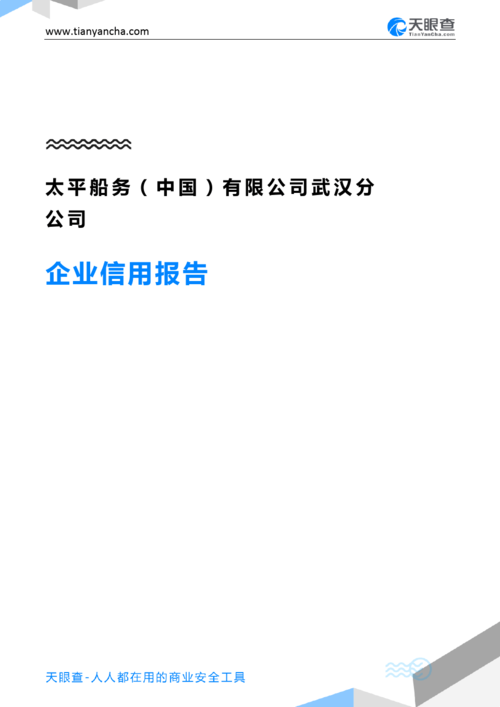 太平船务(中国)有限公司武汉分公司企业信用报告-天眼