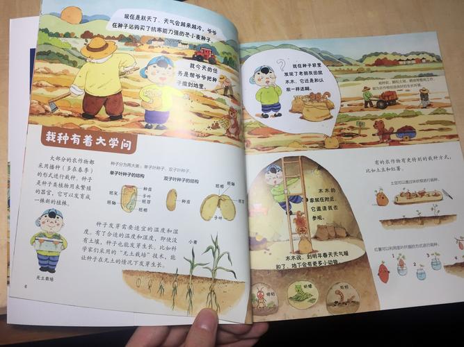绘本《丰收的粮食》