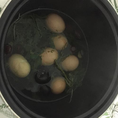 手机用户5565_9hvs做的地菜花煮鸡蛋