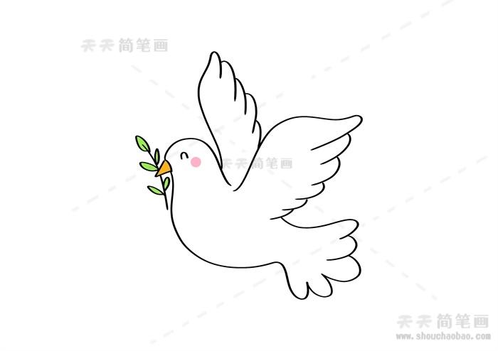 简笔画如何画和平鸽简笔画和平鸽简笔画步骤教程