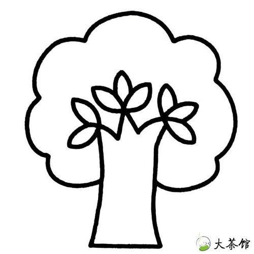 植物简笔画大树