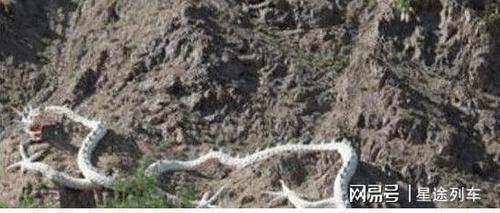 中国人说的龙真的存在吗,营口坠龙事件发现的生物,究竟是什么?