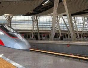 热点热门 萌宠表情 萌娃表情 斗图表情 锦鲤 土味语录 套路图  来自