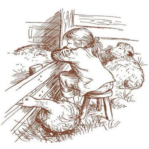 夏洛的网(夏洛书屋第一辑01 美绘版) 教委推荐小学三四年级必读 全彩