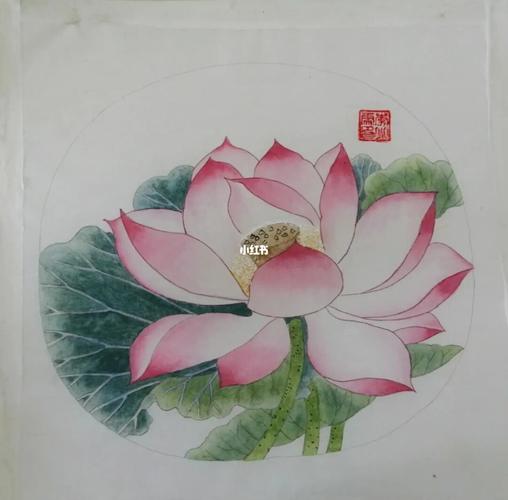 《出水芙蓉图》_工笔画_文化_绘画