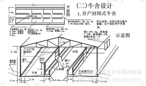 100头牛舍建设图
