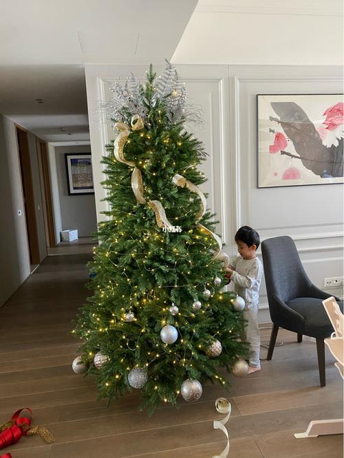 圣诞树好看的点在于结构.