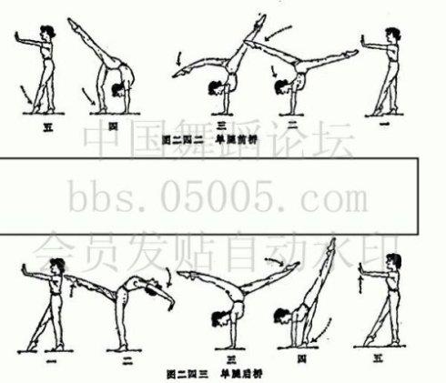 [转载]舞蹈基本功及小技巧