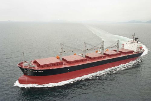 铜仁六万吨散货船信息