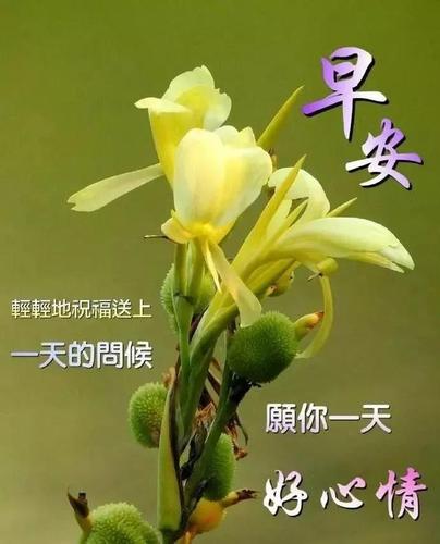 2021年早上好阳光祝福优美短句早安好心情祝福语图片带字