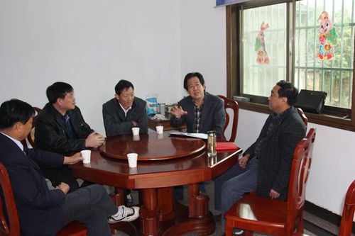 枞阳在线 乡镇  接着,丁文立书记,来到69岁,老党员孙反月家,孙老几个