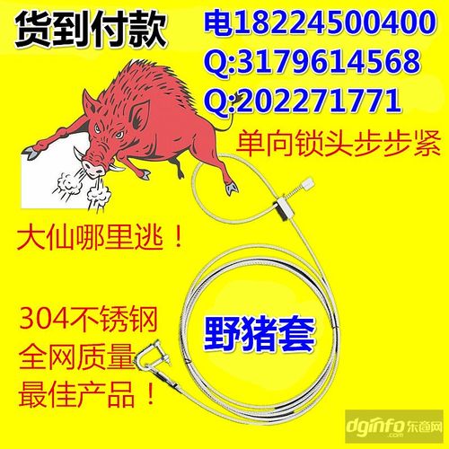横式弹簧套日本钢丝套套野猪怎样下套捉野猪吊脚套野猪弹套套野猪时的