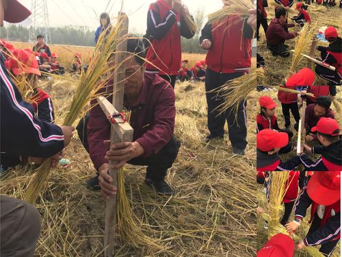 同学们认真学习扎稻草人
